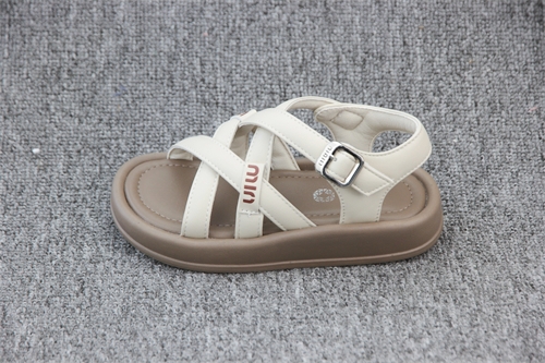 B8829(YY)